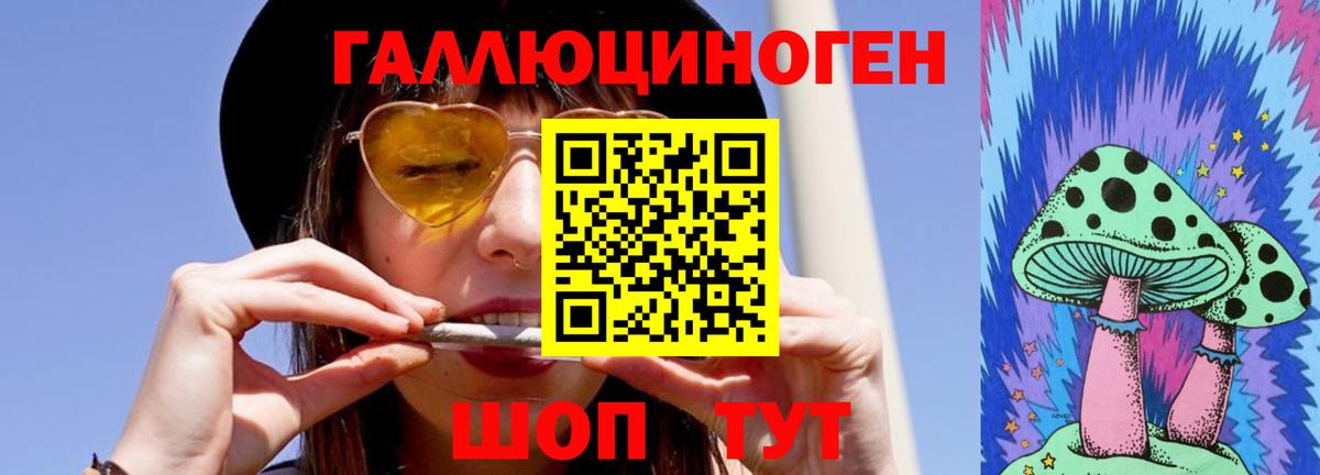 Грозный  Псилоцибиновые грибы Psilocybe  Вход с VPN 